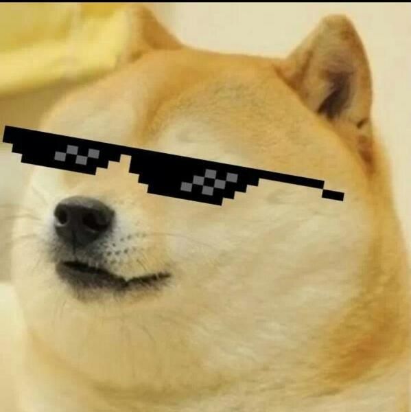 The original Doge meme Shiba Inu wearing thug-life pixel sunglasses