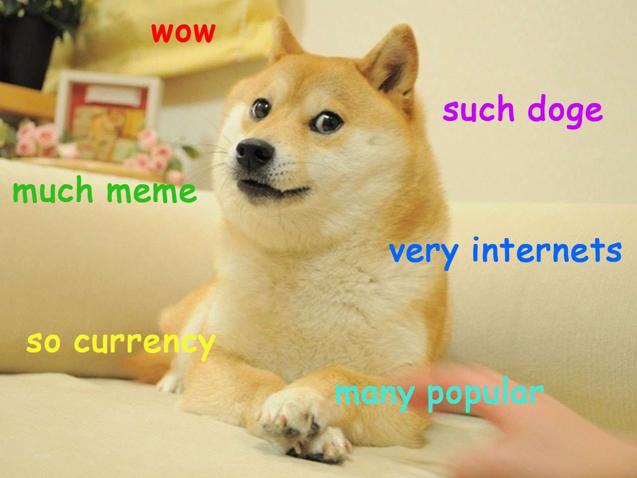 Original doge meme with colorful Comic Sans text