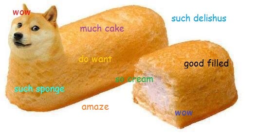 Doge inside a sponge cake